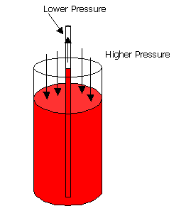 Straw Model 2