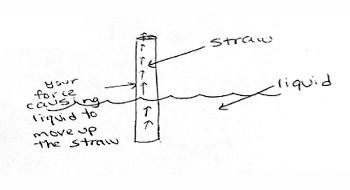 Student Straw Sketch