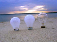 image of bulbs in sand